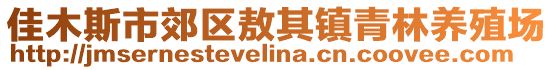 佳木斯市郊區(qū)敖其鎮(zhèn)青林養(yǎng)殖場