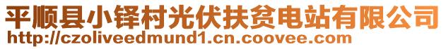 平順縣小鐸村光伏扶貧電站有限公司