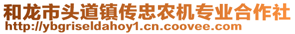 和龍市頭道鎮(zhèn)傳忠農(nóng)機(jī)專業(yè)合作社