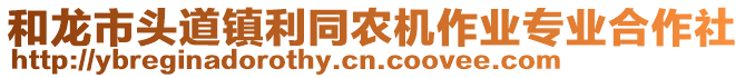 和龍市頭道鎮(zhèn)利同農(nóng)機作業(yè)專業(yè)合作社