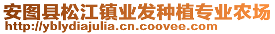 安圖縣松江鎮(zhèn)業(yè)發(fā)種植專業(yè)農(nóng)場