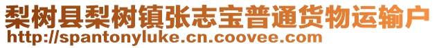 梨樹(shù)縣梨樹(shù)鎮(zhèn)張志寶普通貨物運(yùn)輸戶(hù)