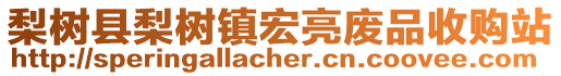 梨樹縣梨樹鎮(zhèn)宏亮廢品收購站