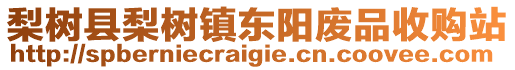 梨树县梨树镇东阳废品收购站