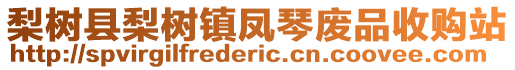 梨樹縣梨樹鎮(zhèn)鳳琴廢品收購站