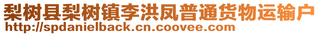 梨樹縣梨樹鎮(zhèn)李洪鳳普通貨物運輸戶