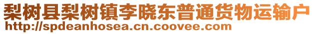 梨樹縣梨樹鎮(zhèn)李曉東普通貨物運(yùn)輸戶
