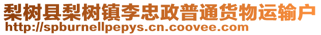 梨樹縣梨樹鎮(zhèn)李忠政普通貨物運(yùn)輸戶