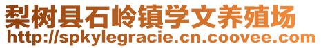 梨树县石岭镇学文养殖场