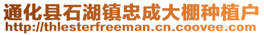 通化县石湖镇忠成大棚种植户