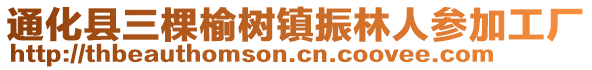 通化县三棵榆树镇振林人参加工厂