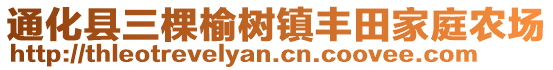 通化县三棵榆树镇丰田家庭农场