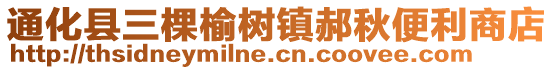 通化县三棵榆树镇郝秋便利商店