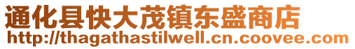 通化县快大茂镇东盛商店