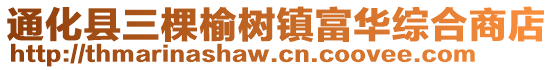 通化县三棵榆树镇富华综合商店