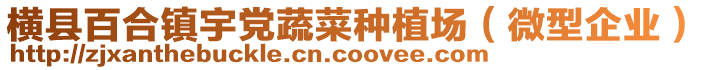 橫縣百合鎮(zhèn)宇黨蔬菜種植場(chǎng)（微型企業(yè)）