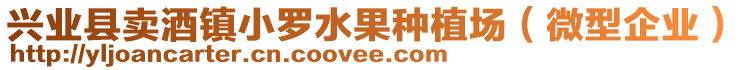 興業(yè)縣賣酒鎮(zhèn)小羅水果種植場(chǎng)（微型企業(yè)）