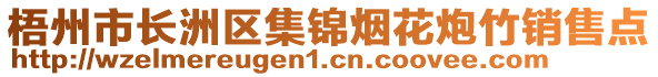 梧州市长洲区集锦烟花炮竹销售点