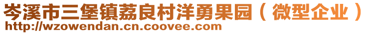 岑溪市三堡鎮(zhèn)荔良村洋勇果園（微型企業(yè)）