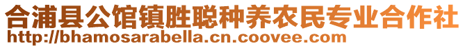 合浦縣公館鎮(zhèn)勝聰種養(yǎng)農(nóng)民專業(yè)合作社