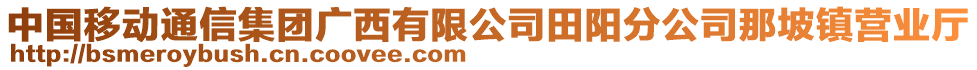 中國(guó)移動(dòng)通信集團(tuán)廣西有限公司田陽(yáng)分公司那坡鎮(zhèn)營(yíng)業(yè)廳