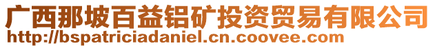 廣西那坡百益鋁礦投資貿(mào)易有限公司