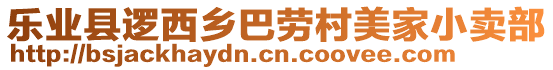 樂業(yè)縣邏西鄉(xiāng)巴勞村美家小賣部