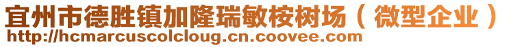 宜州市德勝鎮(zhèn)加隆瑞敏桉樹場(chǎng)（微型企業(yè)）