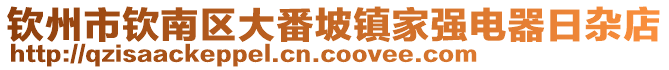 欽州市欽南區(qū)大番坡鎮(zhèn)家強(qiáng)電器日雜店