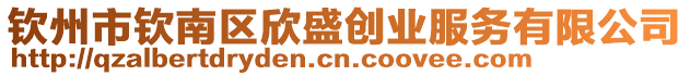 欽州市欽南區(qū)欣盛創(chuàng)業(yè)服務(wù)有限公司