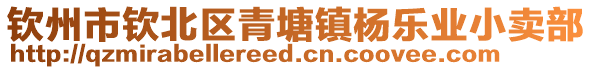 欽州市欽北區(qū)青塘鎮(zhèn)楊樂業(yè)小賣部