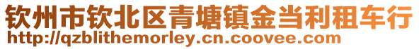 欽州市欽北區(qū)青塘鎮(zhèn)金當(dāng)利租車行