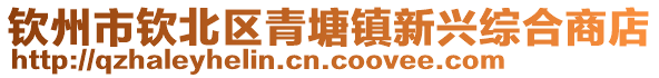 欽州市欽北區(qū)青塘鎮(zhèn)新興綜合商店