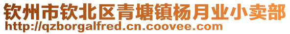 钦州市钦北区青塘镇杨月业小卖部