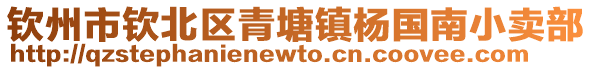 钦州市钦北区青塘镇杨国南小卖部