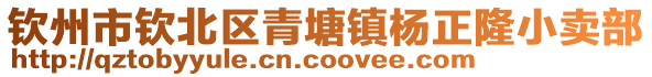 钦州市钦北区青塘镇杨正隆小卖部