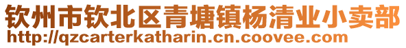 钦州市钦北区青塘镇杨清业小卖部