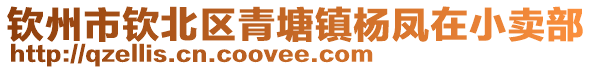 钦州市钦北区青塘镇杨凤在小卖部