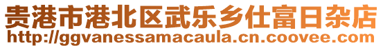 貴港市港北區(qū)武樂鄉(xiāng)仕富日雜店