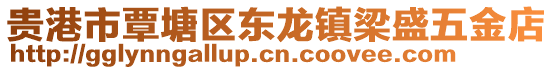 贵港市覃塘区东龙镇梁盛五金店