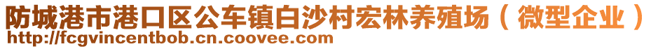 防城港市港口区公车镇白沙村宏林养殖场（微型企业）