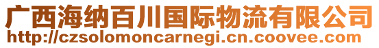 廣西海納百川國際物流有限公司