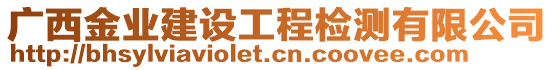 廣西金業(yè)建設工程檢測有限公司