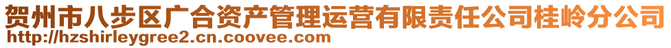 賀州市八步區(qū)廣合資產(chǎn)管理運(yùn)營有限責(zé)任公司桂嶺分公司