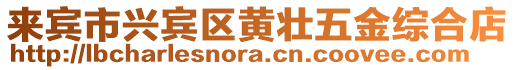 來賓市興賓區(qū)黃壯五金綜合店