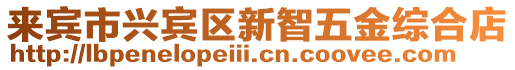 來賓市興賓區(qū)新智五金綜合店