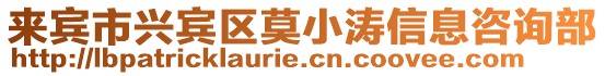 來賓市興賓區(qū)莫小濤信息咨詢部