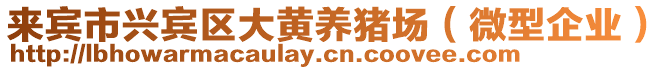 來賓市興賓區(qū)大黃養(yǎng)豬場（微型企業(yè)）