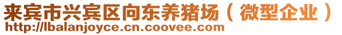 來賓市興賓區(qū)向東養(yǎng)豬場（微型企業(yè)）