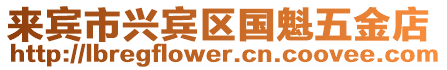 來賓市興賓區(qū)國魁五金店